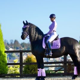 Woof Wear Vision Dressage Saddle Pad