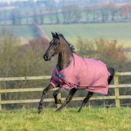 Bucas Freedom Lightweight Turnout Rug Ginger