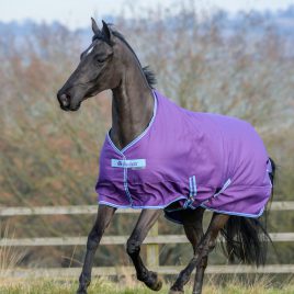 Bucas Freedom Lightweight Turnout Rug Purple