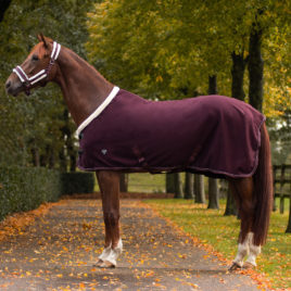 QHP Diamond Show Rug
