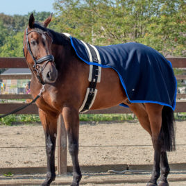 QHP Lunging Rug