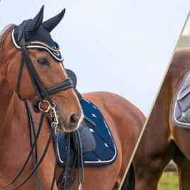 Back on Track Night Collection Graphite Saddle Pad