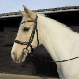 Heritage Anatomical Cavesson Bridle