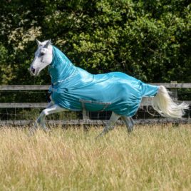 Bucas Freedom Fly Sheet