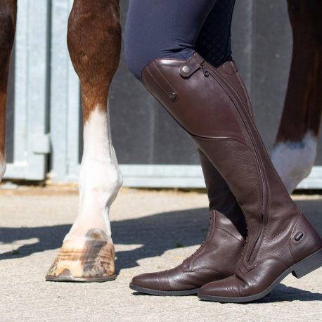 qhp brown riding boot