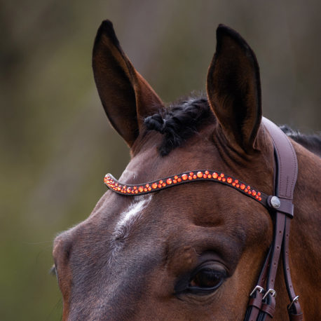 orange brow band