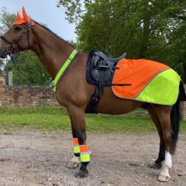 Equisafety Charlotte Dujardin Multi Coloured Waterproof Quarter Rug