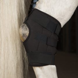 Incrediwear Equine Hock Boot