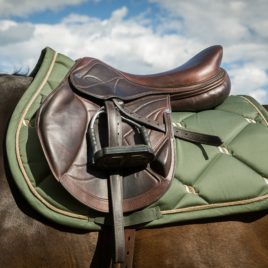 Back on Track Night Collection Olive Green Saddle Pad