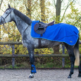 QHP Waterproof Exercise Sheet