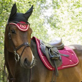 Back on Track Nights Collection Dark Red Bonnet