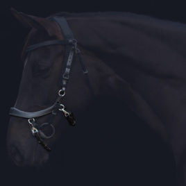 PresTeq FaySport Noseband