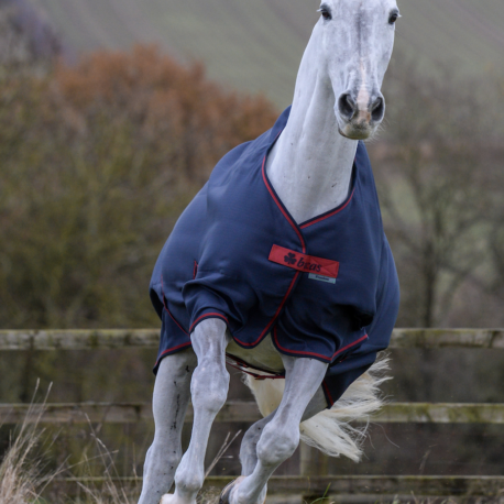 Bucas Freedom turnout graphite without neck