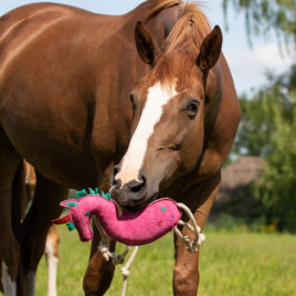 QHP Horse Toy