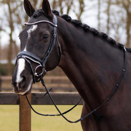 black bridle with white lining