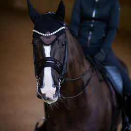 Equestrian Stockholm Mahogany Glimmer Ear Net