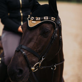 Equestrian Stockholm Golden Brass Ear Net