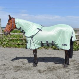 Whitaker Airton Mint Fly Rug with Neck and Mask