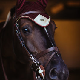 Equestrian Stockholm Crystal Merlot Gold Cob Saddle Pad & Pony Bonnet Set
