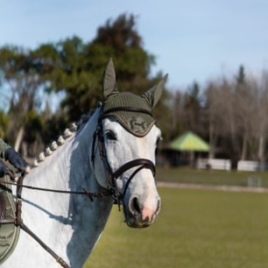 Equestrian Stockholm Evening Haze Ear Bonnet