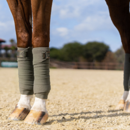 Equestrian Stockholm Evening Haze Fleece Bandages