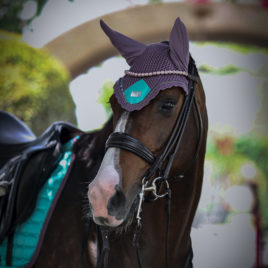 Equito Frosty Mint Ear Bonnet