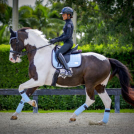 Leggings – Navy Silver – Equito Equestrian