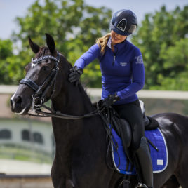 Equito Royal Blue Saddle Pad