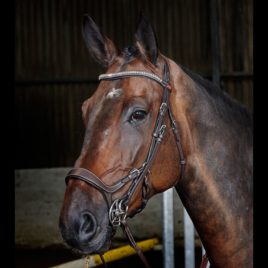 Whitaker CHICAGO ANATOMIC BREATHABLE BRIDLE WITH REINS