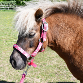 Rhinegold Unicorn Padded Headcollar And Matching Leadrope Set