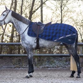 QHP Waterproof Exercise Rug.