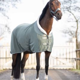 QHP Olive Gloss Fleece Rug