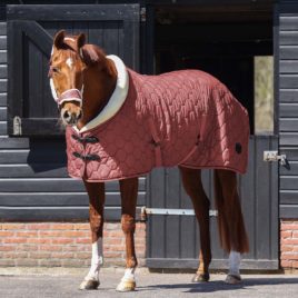 QHP Classy Stable Rug Dusty Cedar