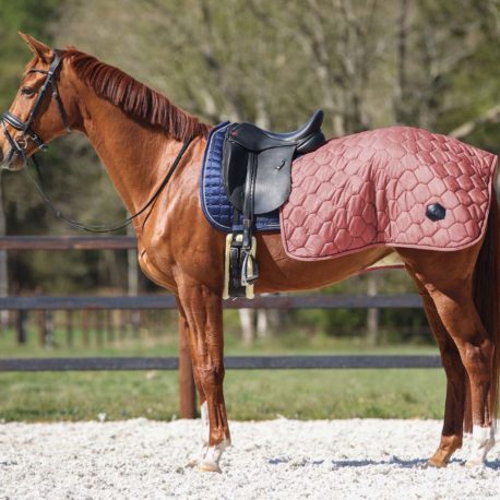 dusty cedar exercise rug