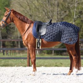 QHP Classy Quarter Rug Navy