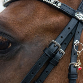 QHP Christmas bridle Charms