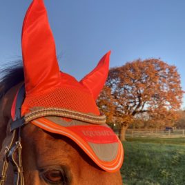 Equisafety Hi Vis Acoustic Horse Ears – Orange