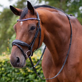 QHP Orlando Bridle