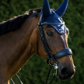 PresTeq FayPerform Weymouth/Double Bridle