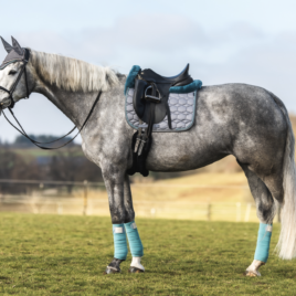 Mattes Grey Sheen with Petrol Spring Collection Saddle Pad