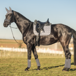 Mattes Grey Sheen Spring Collection Saddle Pad