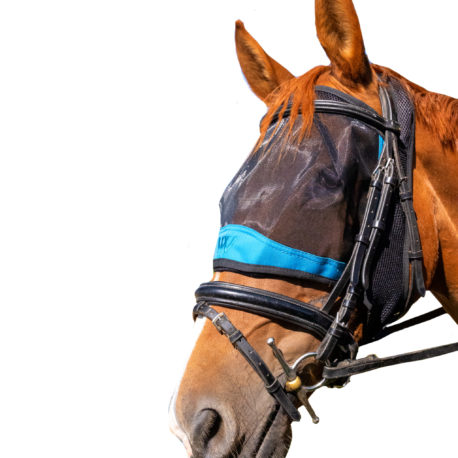 WS0017 – RIDE ON FLY MASK