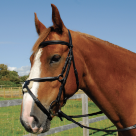 Heritage Saddlery English Leather Bridle With Mexican Noseband