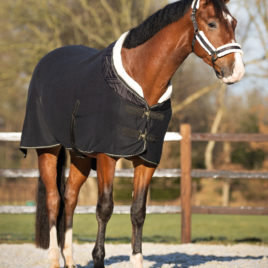 QHP Black Menton Show Rug