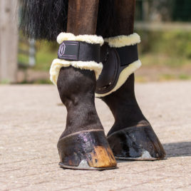 QHP Tario Fetlock boots