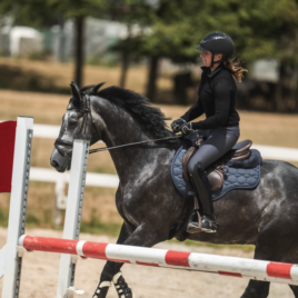 Mattes Navy A/W 2023 Collection Saddle Pad
