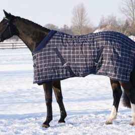 QHP Luxury Heavyweight Stable Rug