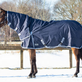 QHP Heavyweight Turnout Rug with Neck