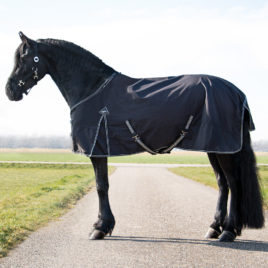 QHP XL Heavyweight Turnout Rug