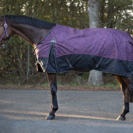 QHP Midweight Turnout Rug Mystical Purple